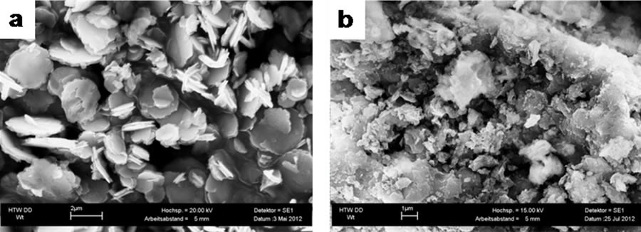 SEM image powder preparations of zinc aluminum hydrotalcite (a) and magnesium aluminum hydrotalcite (b).